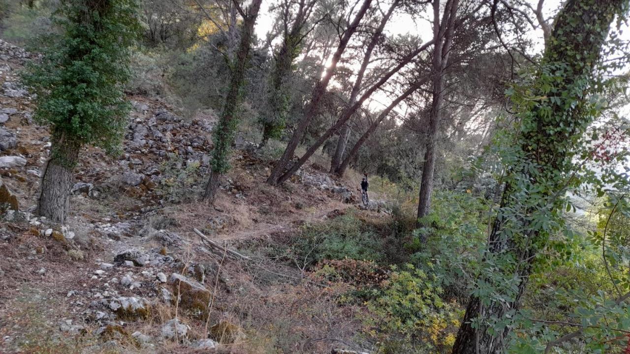 Casa Los Garcia Rute Dış mekan fotoğraf
